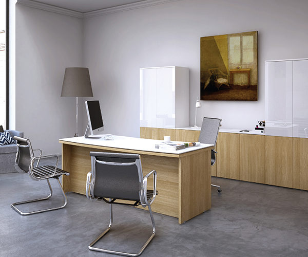 HAKEN_DIRECTIVO_1