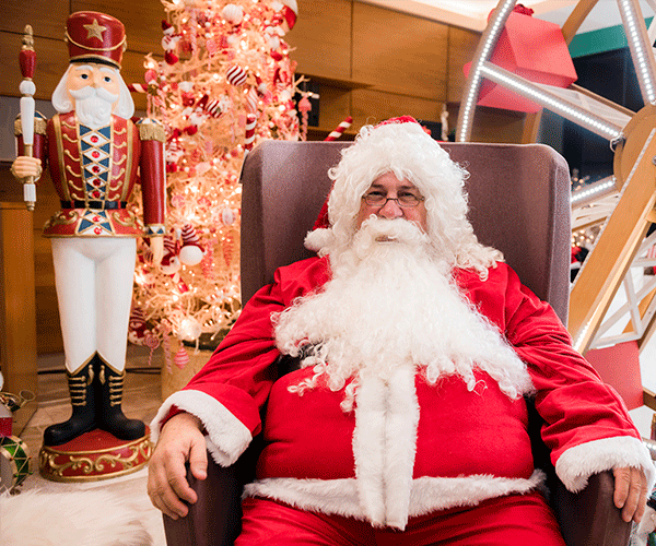 Bienvenida a la navidad ECQ 2019